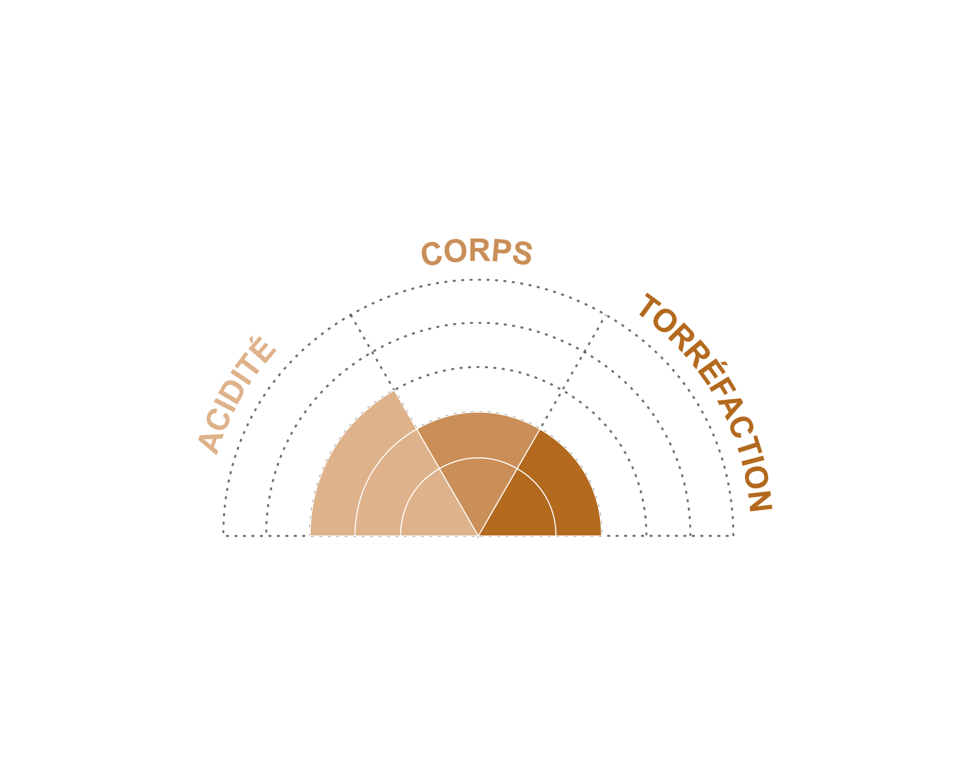 Illustration roue café d'Éthiopie Moka Guji format 1kg en grains bio et équitable - Terra Etica I Café Michel