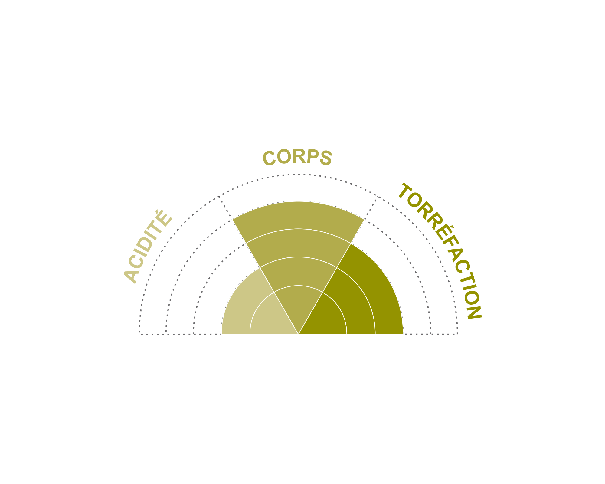 Roue café en grains du Mexique, bio et équitable, format 500g - Terra Etica I Café Michel