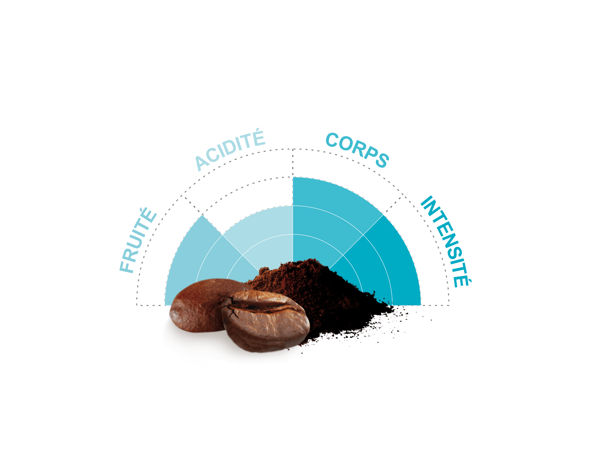 Dosettes souples d'arabica du Honduras biologique et équitable - Café Michel