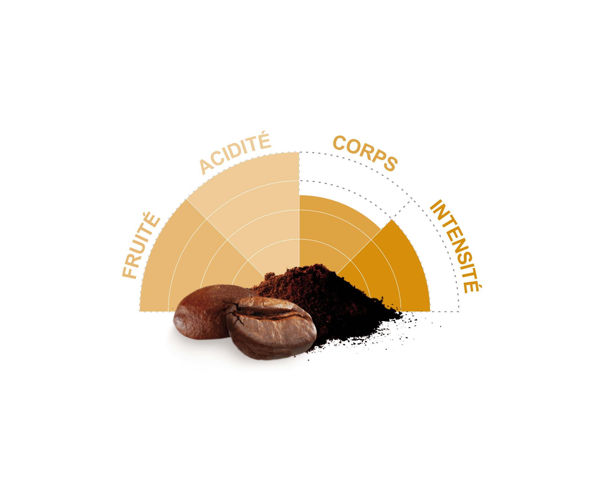 Dosettes souples d'arabica d'Éthiopie biologique et équitable - Café Michel