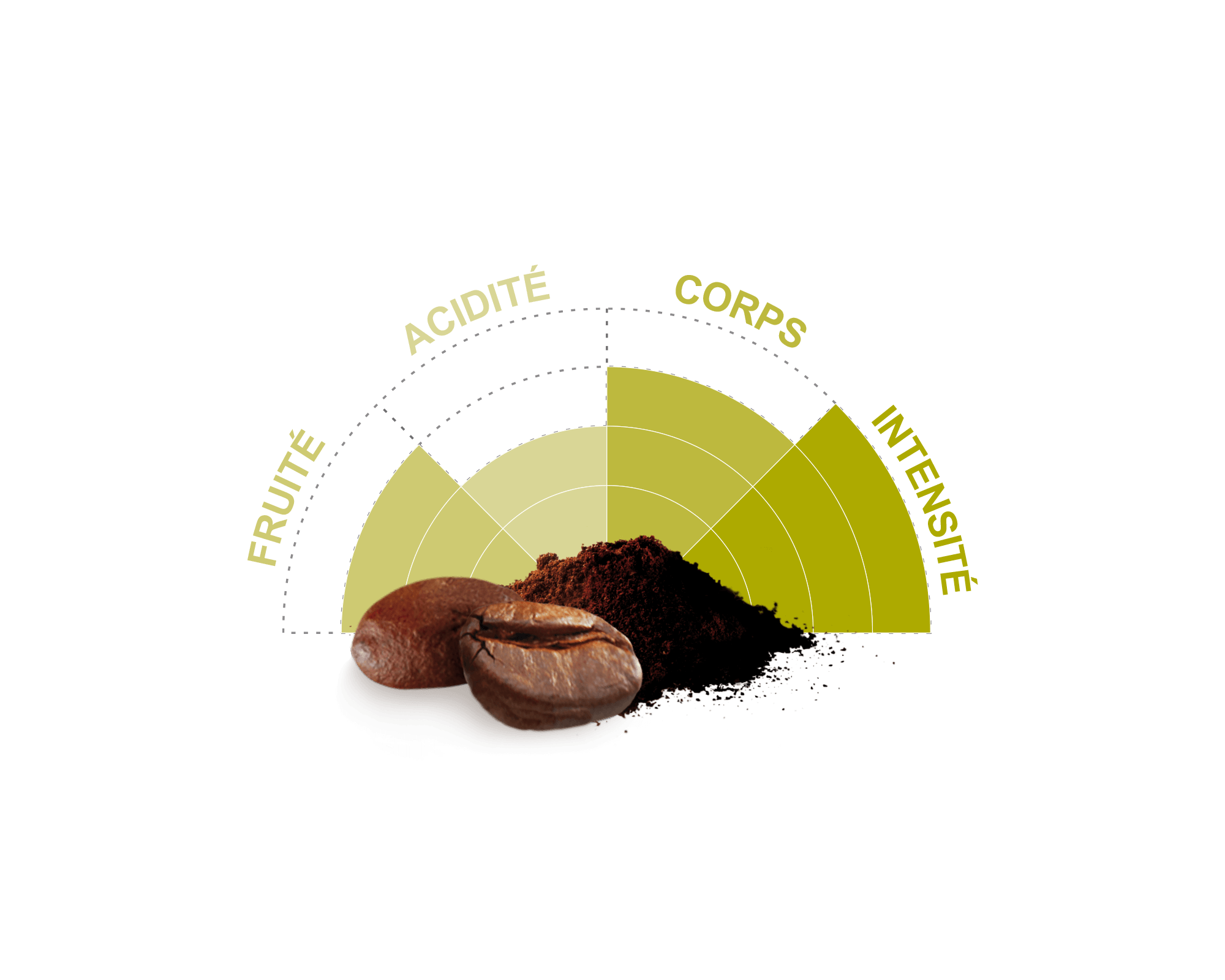 Pur arabica Mexique Moulu biologique et équitable 500g I Café Michel