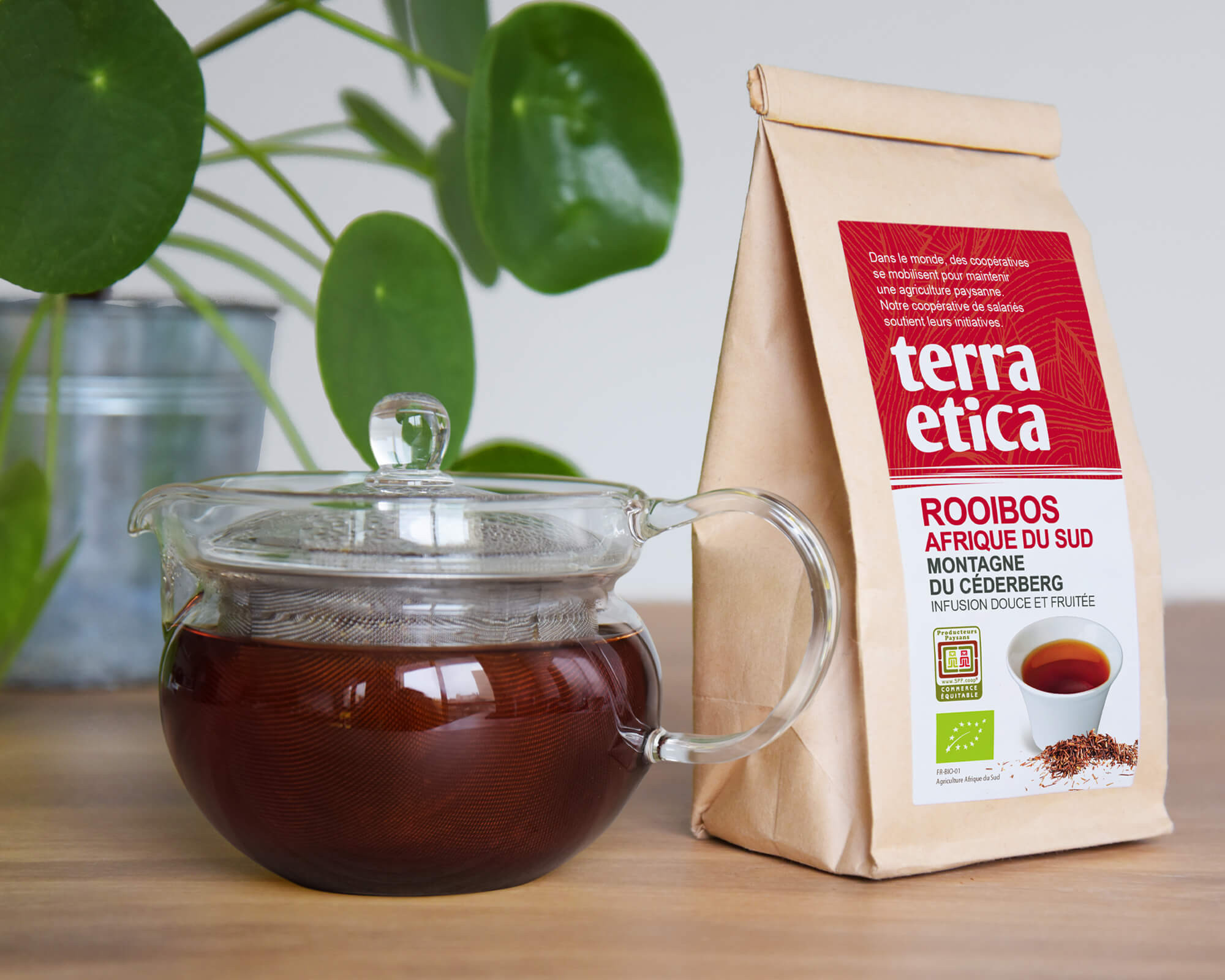 Rooibos d'Afrique du Sud bio et équitable I Terra Etica