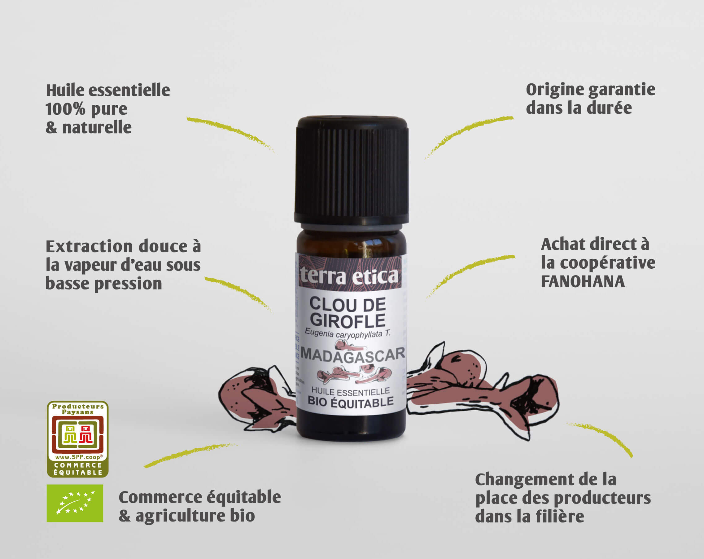 Terra Etica - Pure huile essentielle Clou de Girofle bio et équitable