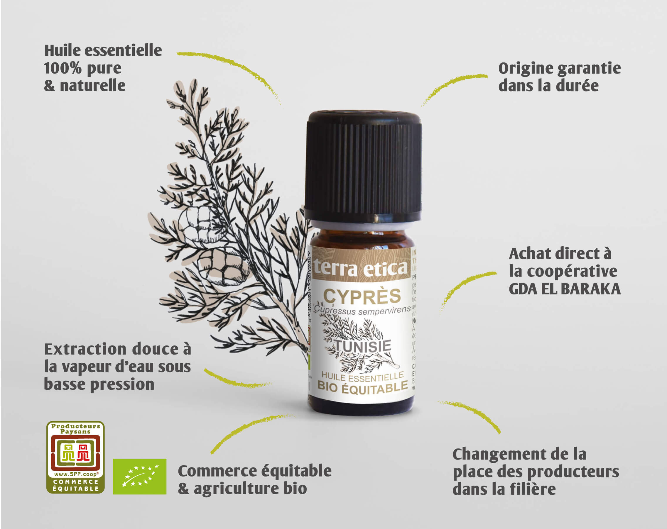 Pure huile essentielle Cyprès biologique et équitable I Terra Etica