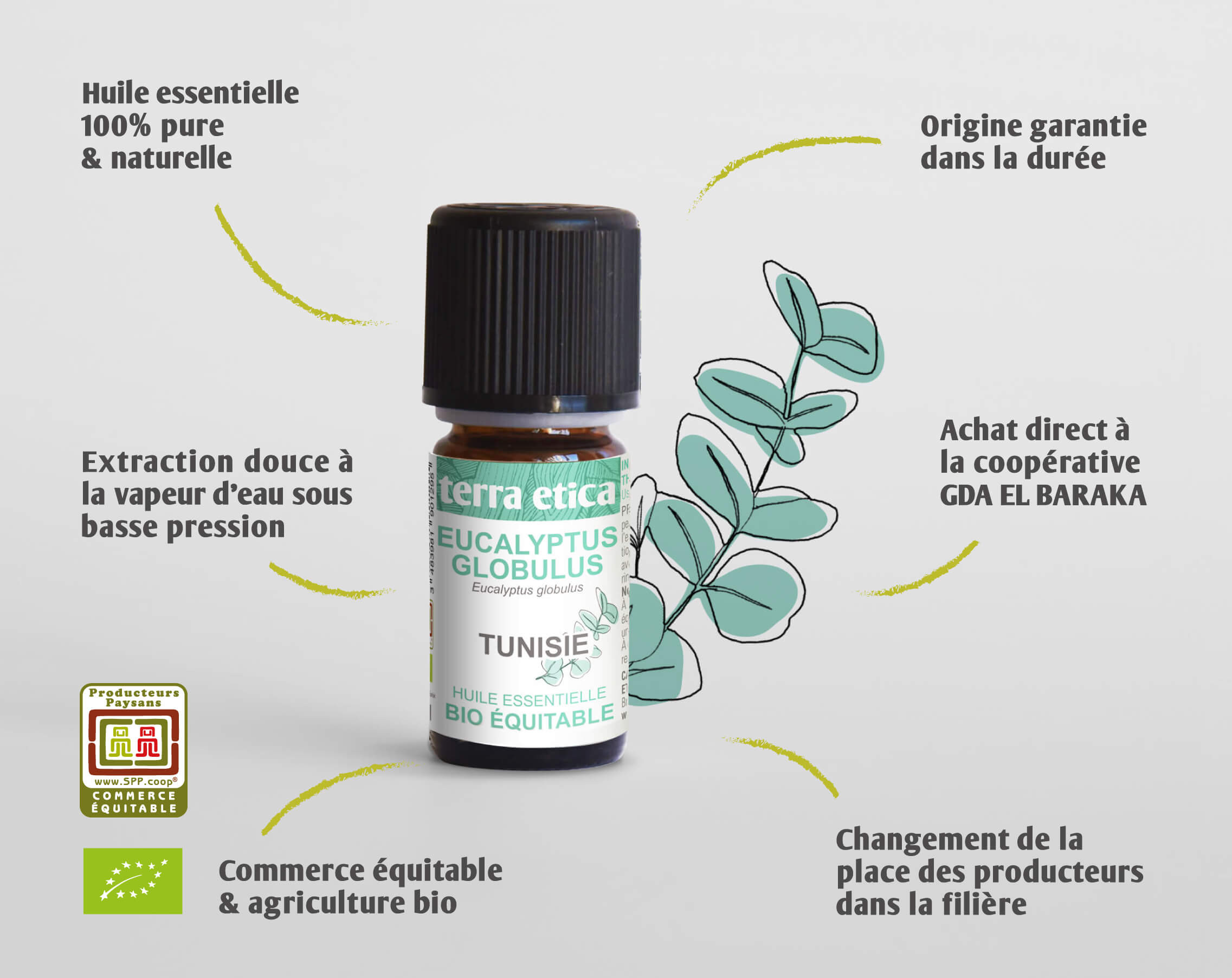 TERRA ETICA - Huile essentielle eucalyptus Globulus bio et équitable