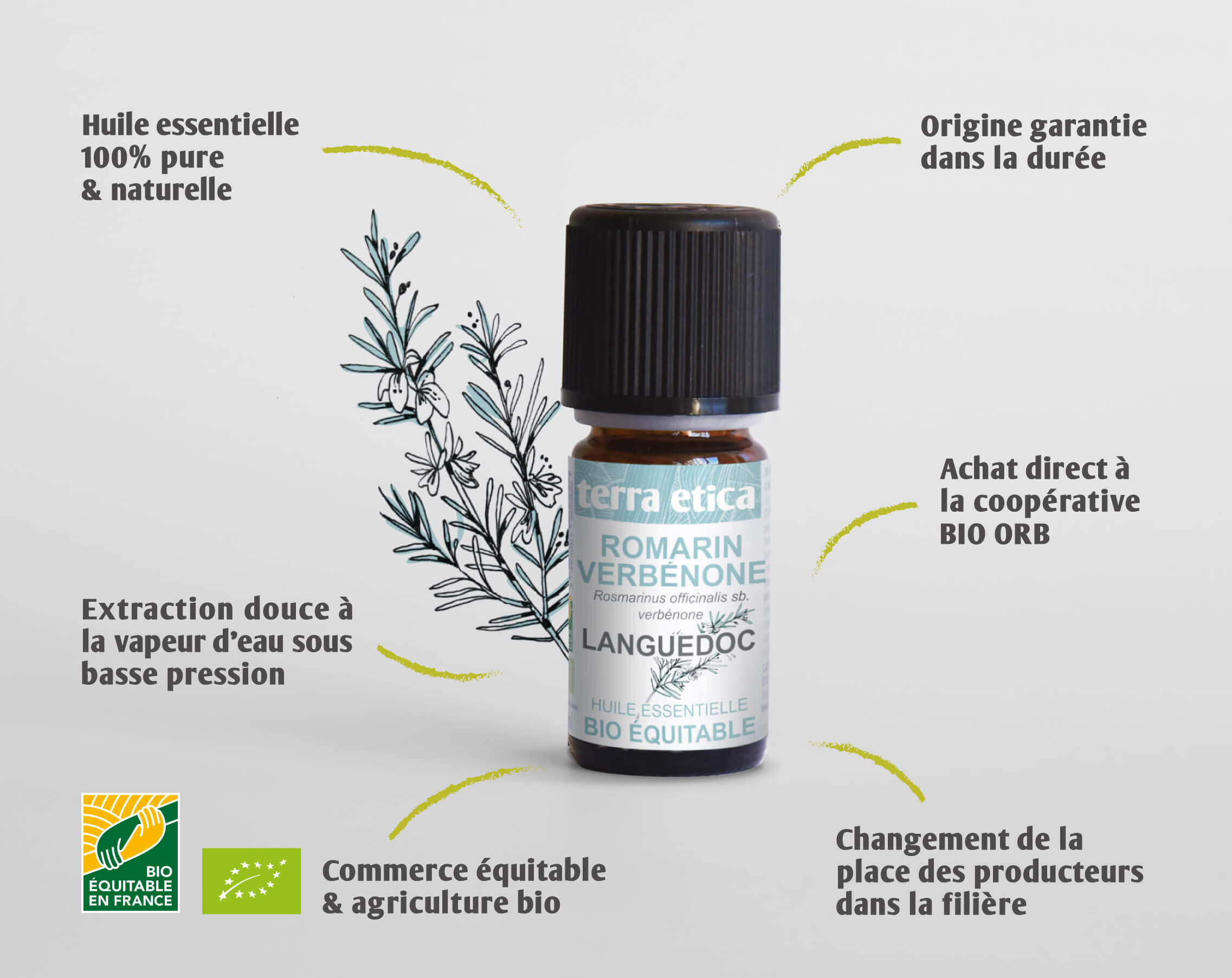 TERRA ETICA - Huile essentielle thym thymol bio et équitable