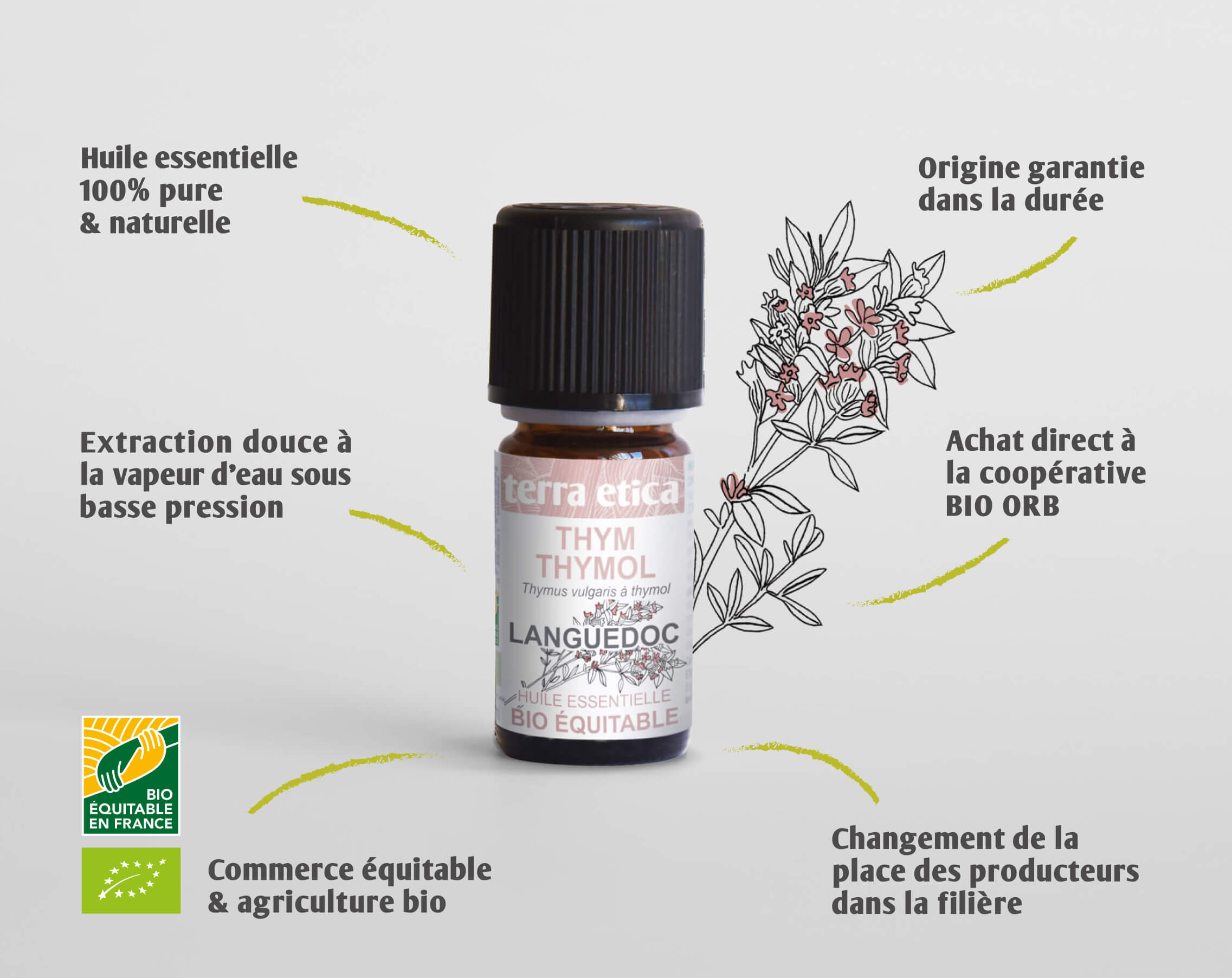 TERRA ETICA - Huile essentielle thym thymol bio et équitable