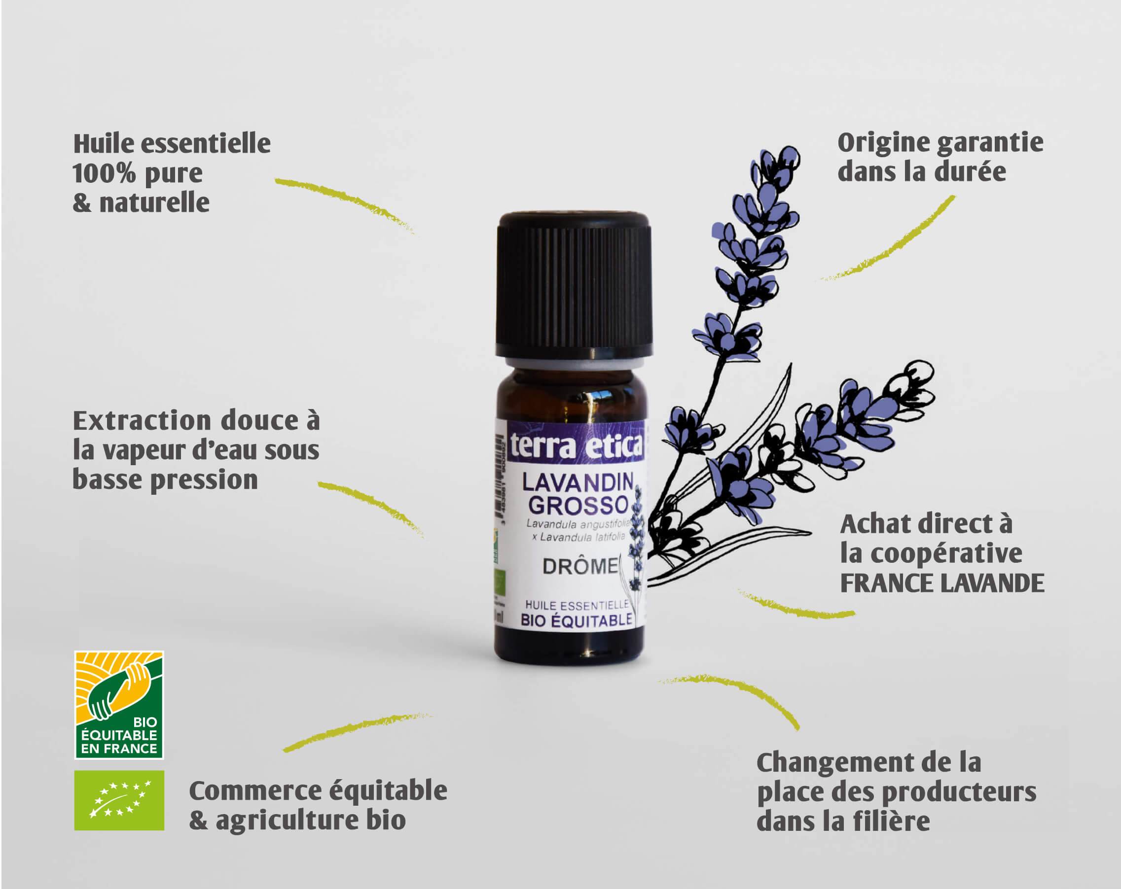 Terra Etica - Pure huile essentielle lavandin grosso biologique et équitable