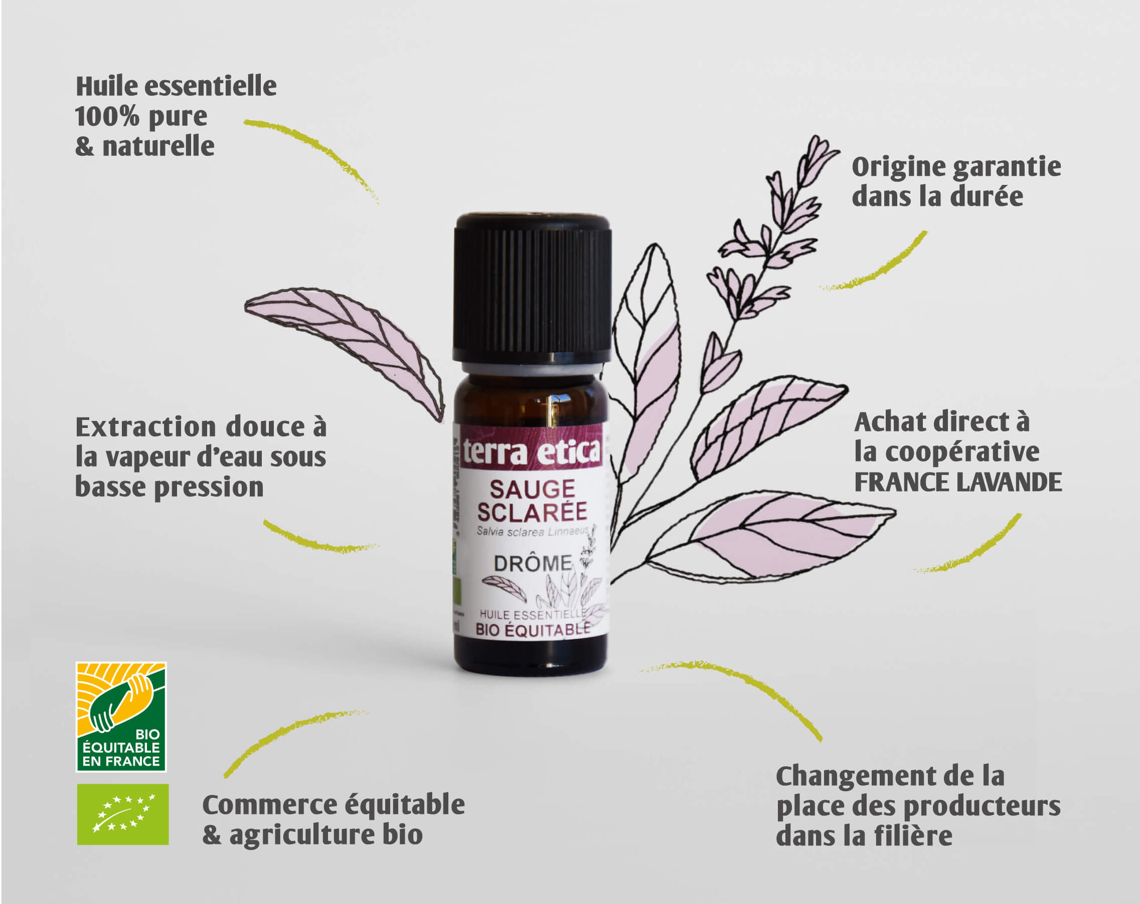 Terra Etica - Pure huile essentielle Sauge sclarée biologique et équitable