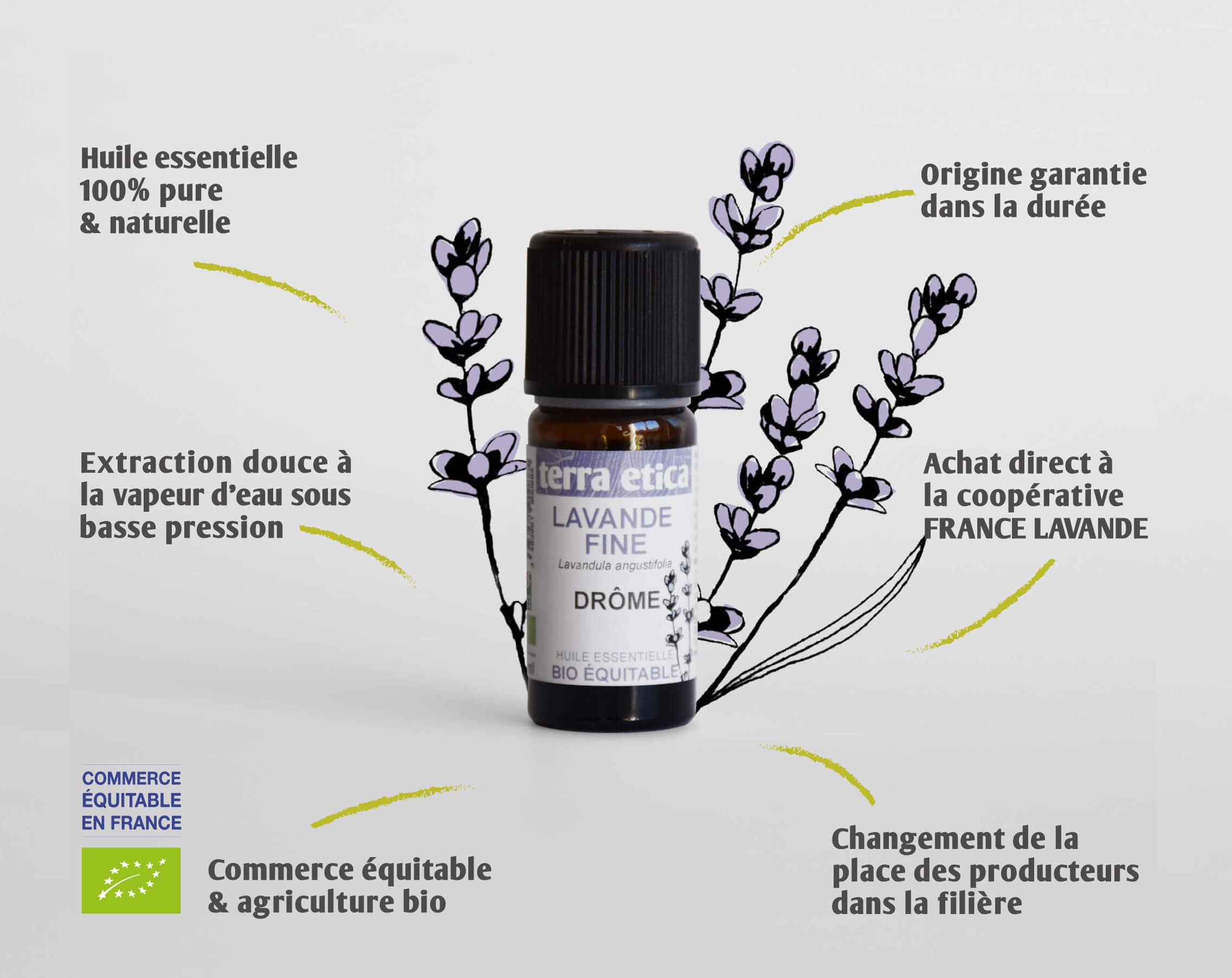 Terra Etica - Pure huile essentielle Lavande fine biologique et équitable