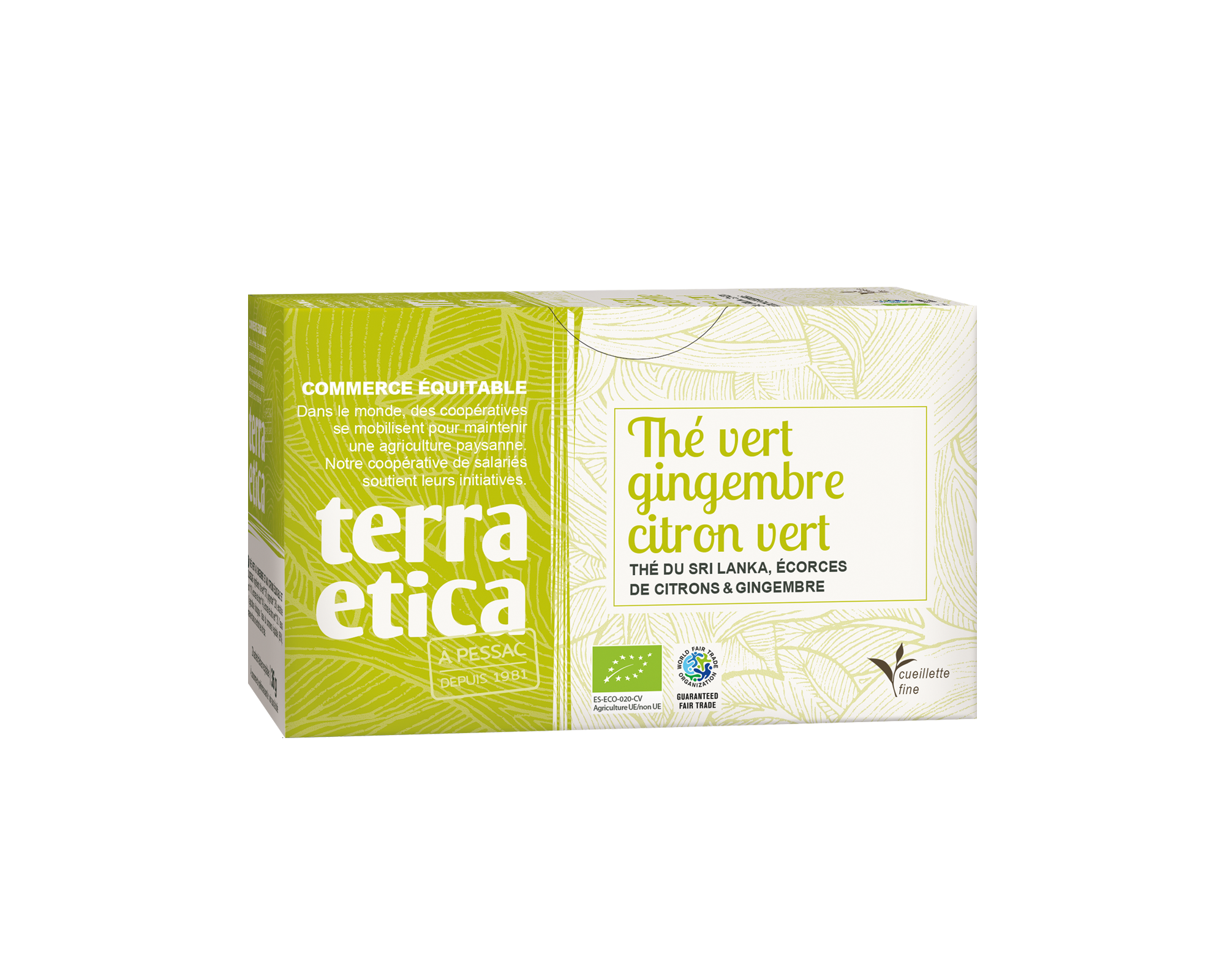 Thé vert de Ceylan gingembre citron vert bio et équitable I Terra Etica