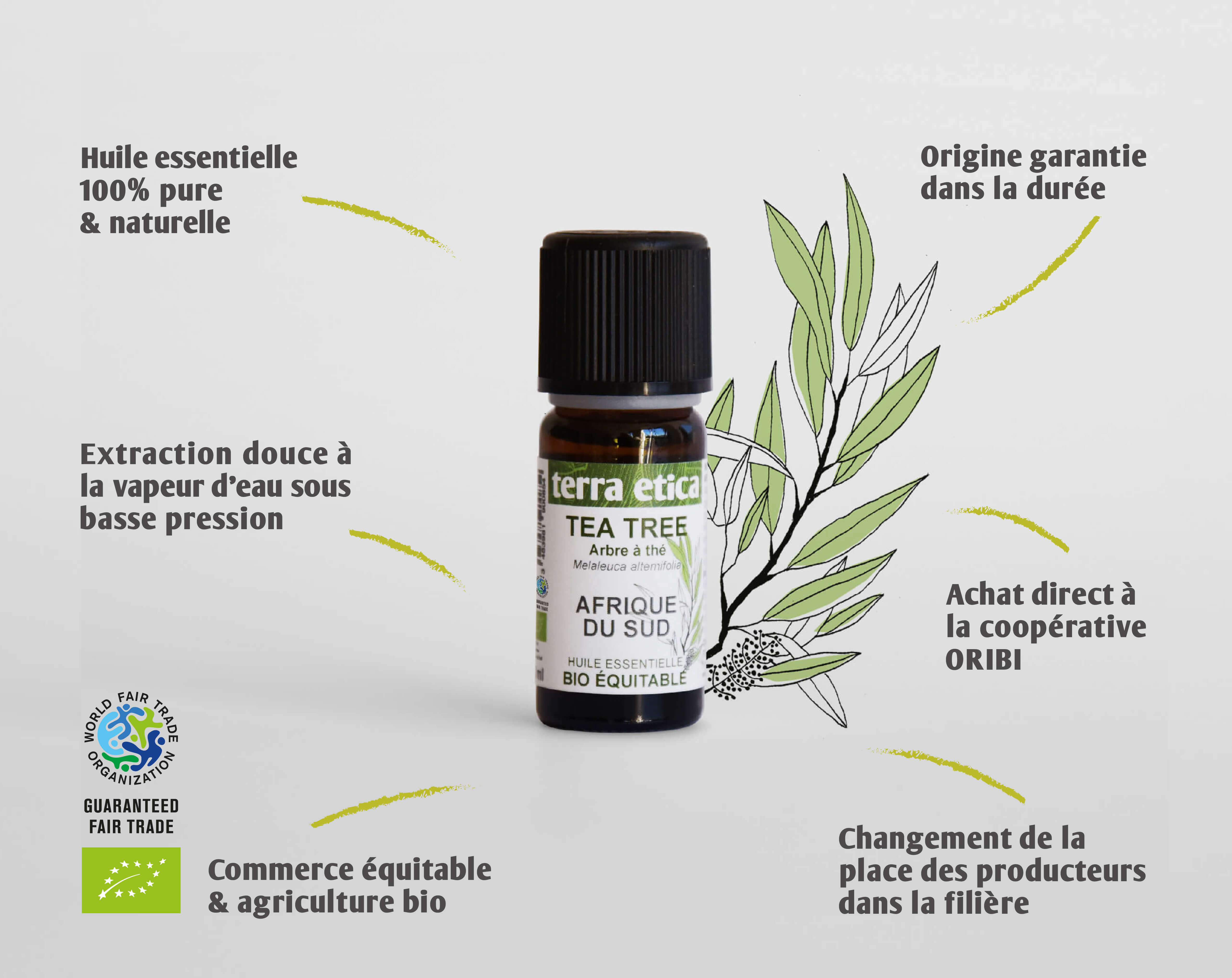 Terra Etica - Pure huile essentielle Tea tree biologique et équitable