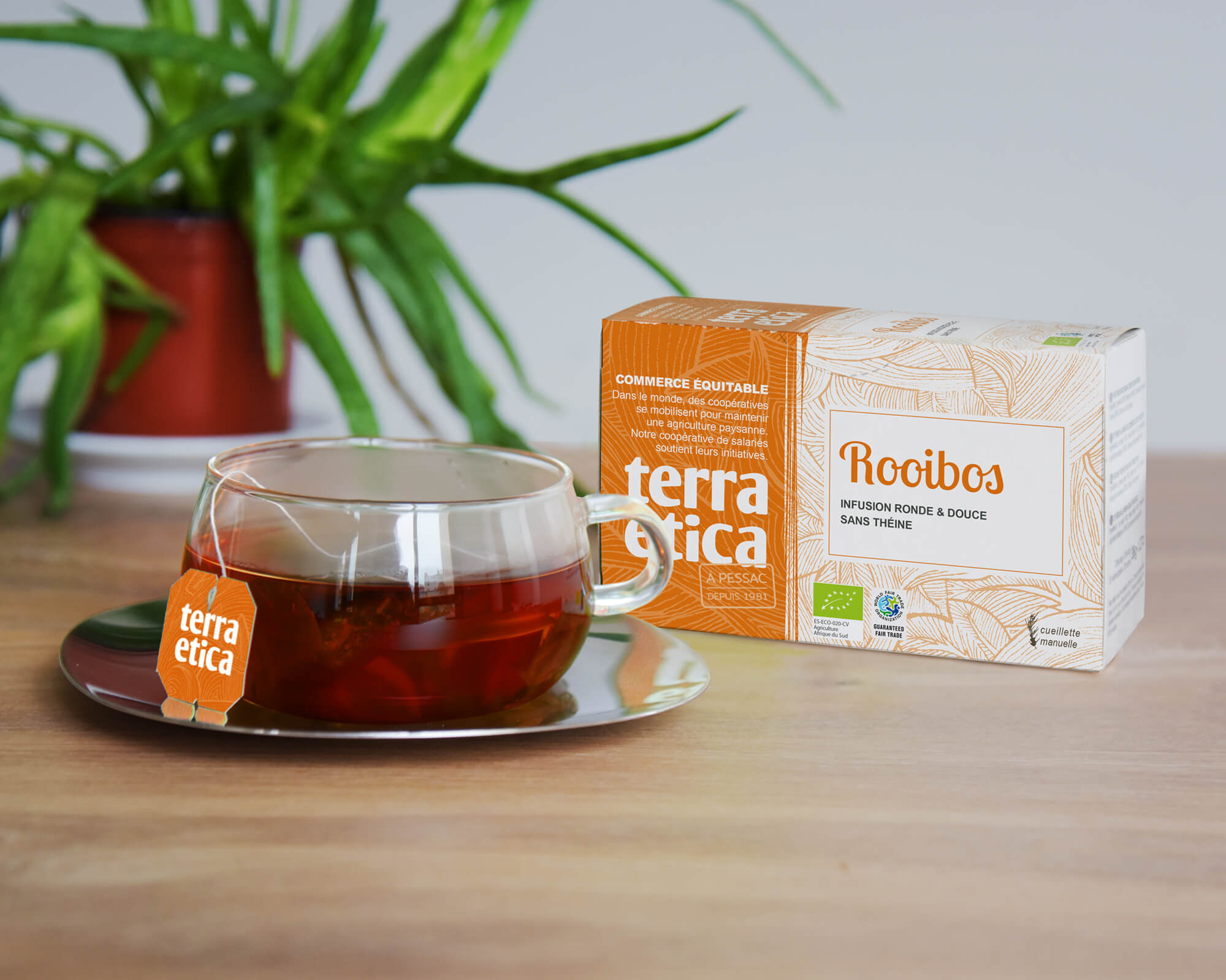 Rooibos d'Afrique du Sud bio et équitable I Terra Etica