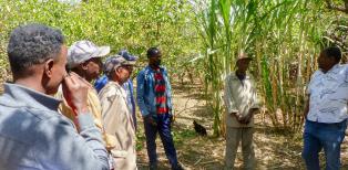 Notre soutien au projet d’agro-écologie dans la région Wolayta