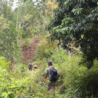 à la découverte du  Poivre Sauvage de Madagascar 